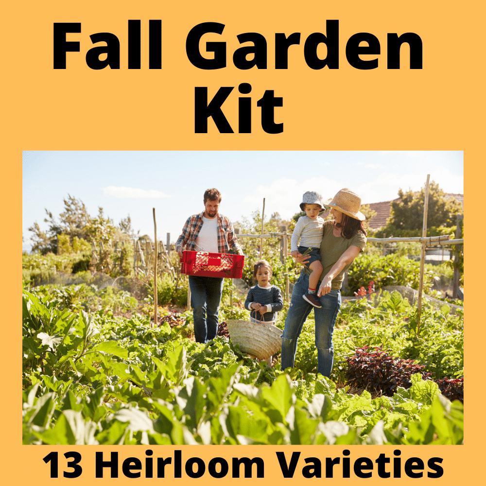 Fall-Garden-Kit